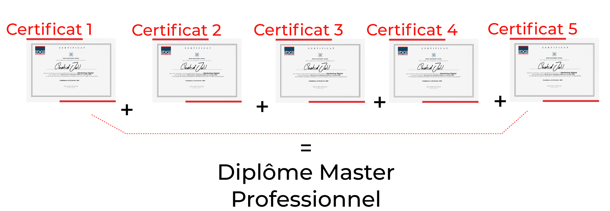 certificats professionnels
