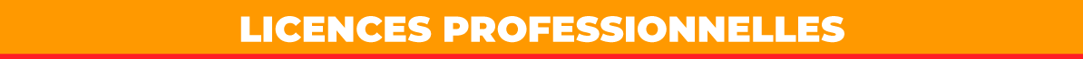 licence professionnelle e commerce marketing digital